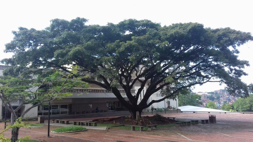 Teravision Technologies presents at the Project Management Institute’s 2018 Event in Caracas